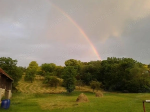 teren intravilan suceagu baciu 6MII MP