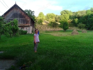 teren  intravilan suceagu baciu 1000 mp - imagine 3