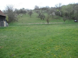 teren intravilan baciu suceagu 11000mp