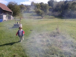 teren  intravilan suceagu baciu 1000 mp - imagine 6