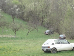 teren  intravilan suceagu baciu 1000 mp - imagine 5