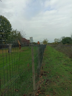 Vând teren 1000mp în Ștefănești  str Salcâmilor  - imagine 4