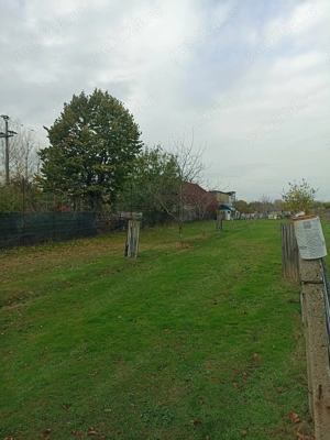 Vând teren 1000mp în Ștefănești  str Salcâmilor  - imagine 5