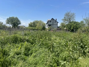 2 case in Comuna Salcia Jud. Teleorman + 7500 mp teren intravilan - imagine 4