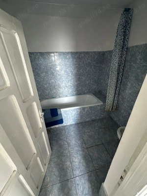 2 case in Comuna Salcia Jud. Teleorman + 7500 mp teren intravilan - imagine 6