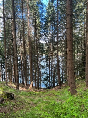 Vând o bucată de paradis pe malul Lacului Beliș - 1000 mp - imagine 3
