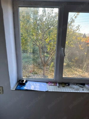 2 case in Comuna Salcia Jud. Teleorman + 7500 mp teren intravilan - imagine 8