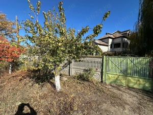 2 case in Comuna Salcia Jud. Teleorman + 7500 mp teren intravilan - imagine 9