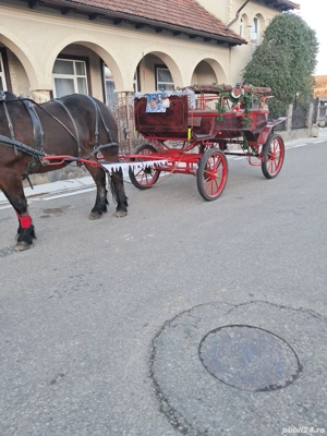 vand trasura - imagine 4