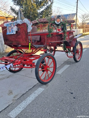 vand trasura - imagine 5