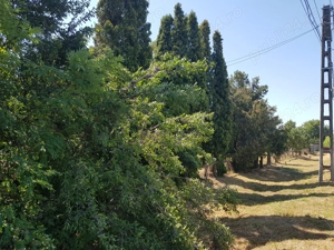 Teren de vanzare sat Oar, comuna Vetis