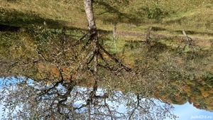 Vanzare teren intravilan - imagine 3