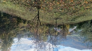 Vanzare teren intravilan - imagine 5