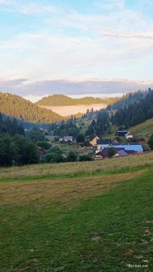 Proprietate de vanzare in Bucovina Breaza zona Paraul Negrei