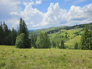 Teren de vanzare in Bucovina Comuna Breaza Zona Paraul Negrei - imagine 8