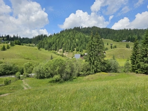 Teren de vanzare in Bucovina Comuna Breaza Zona Paraul Negrei - imagine 4