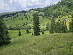 Teren de vanzare in Bucovina Comuna Breaza Zona Paraul Negrei - imagine 6