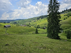 Teren de vanzare in Bucovina Comuna Breaza Zona Paraul Negrei - imagine 9