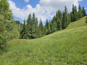 Teren de vanzare in Bucovina Comuna Breaza Zona Paraul Negrei - imagine 10