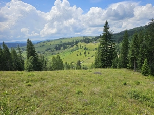 Teren de vanzare in Bucovina Comuna Breaza Zona Paraul Negrei - imagine 3