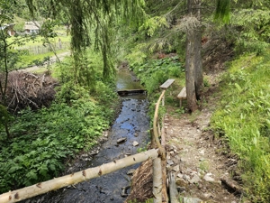 Teren de vanzare in Bucovina Comuna Breaza Zona Paraul Negrei - imagine 5