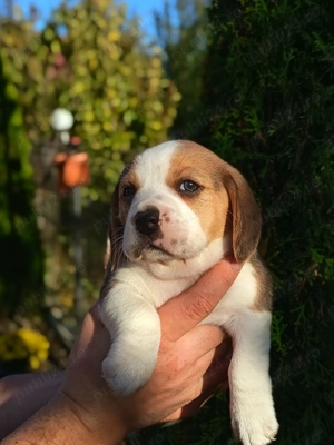 Fetite și baieti - imagine 3 Fetite și baieti - imagine 3