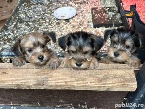 cadoul perfect pentru copii de  craciun