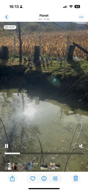 rate indiene - imagine 2