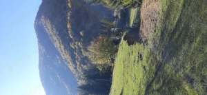 Vand teren intravilan 2500 mp - imagine 2