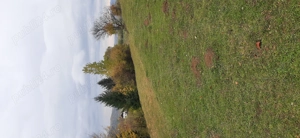 Vand teren intravilan 2500 mp - imagine 4