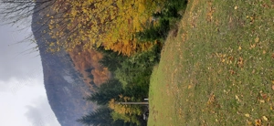 Vand teren intravilan 2500 mp - imagine 3