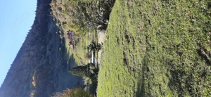 Vand teren intravilan 2500 mp - imagine 5