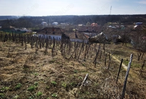Schimb, Vand - Casa cu teren(1511mp), Leamna de sus
