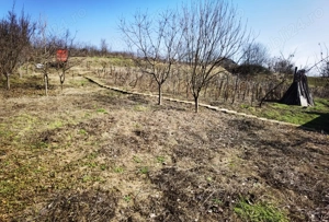 Vand - Casa cu teren(1511mp), Leamna de sus - imagine 2