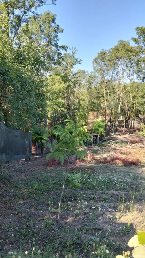 Casă bătrânească 20.000 euro  - imagine 7