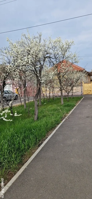 vand casa Sânnicolau Mic 