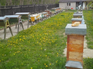 Proprietate de vanzare   zona metropolitana bucuresti ordoreanu, județul ilfov - imagine 13