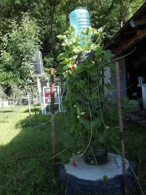 Proprietate de vanzare   zona metropolitana bucuresti ordoreanu, județul ilfov - imagine 16