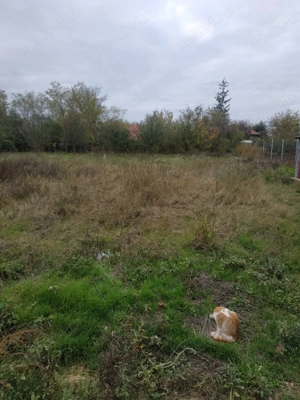 Vând teren intravilan  - imagine 3