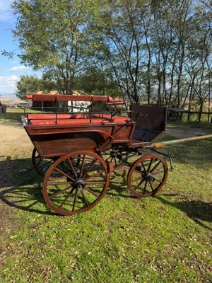 Trasura 6 locuri, frane pe disc, productie Germania - imagine 2 Trasura 6 locuri, frane pe disc, productie Germania - imagine 2