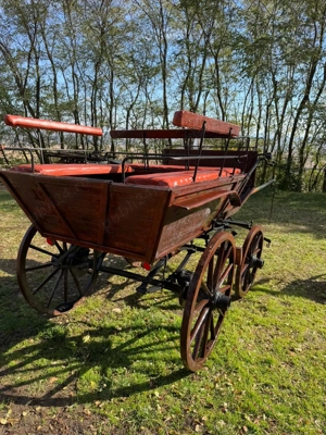 Trasura 6 locuri, frane pe disc, productie Germania - imagine 3 Trasura 6 locuri, frane pe disc, productie Germania - imagine 3