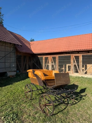 Trăsură, pentru un Cal sau Ponei - imagine 3 Trăsură, pentru un Cal sau Ponei - imagine 3