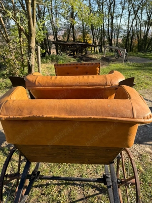 Trăsură, pentru un Cal sau Ponei - imagine 2 Trăsură, pentru un Cal sau Ponei - imagine 2