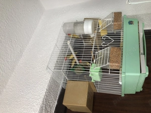 Schimb cu 3 colivii Cova 503 - imagine 3