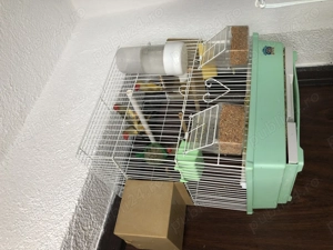 Schimb cu 3 colivii Cova 503 - imagine 2