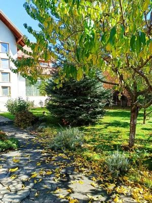 Vilă spațioasă S+P+1E+pod, 5 camere, cartier Albert, Ploiești - imagine 7