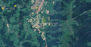 Borlovenii Noi, Teren Drept, 16000mp, la Limita Localitatii - imagine 7