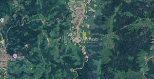 Borlovenii Noi, Teren Drept, 16000mp, la Limita Localitatii - imagine 6