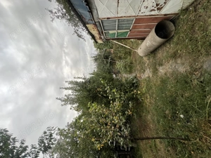 Casă de vânzare cartier Măgurele Turnu Măgurele  - imagine 6