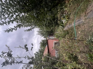 Casă de vânzare cartier Măgurele Turnu Măgurele  - imagine 3